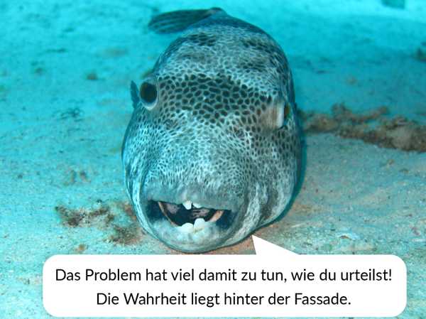 Ein Kugelfisch sagt: Das Problem hat damit zu tun, wie du urteilst! Die Wahrheit liegt hinter der Fassade.